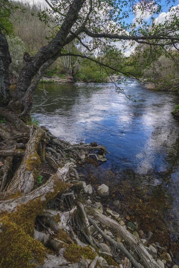 Casa Rural Aguas Frias I La Omañuela Kültér fotó